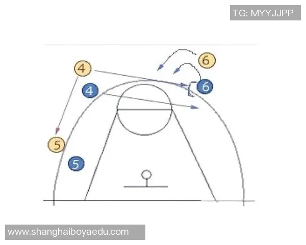 深入分析上海篮球队的进攻策略与战术特点解析