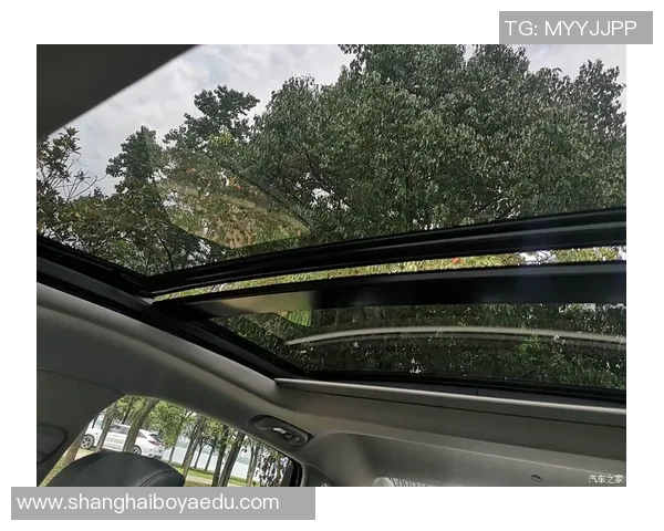 武汉攀岩队团队协作引发热议与争议的背后故事与思考